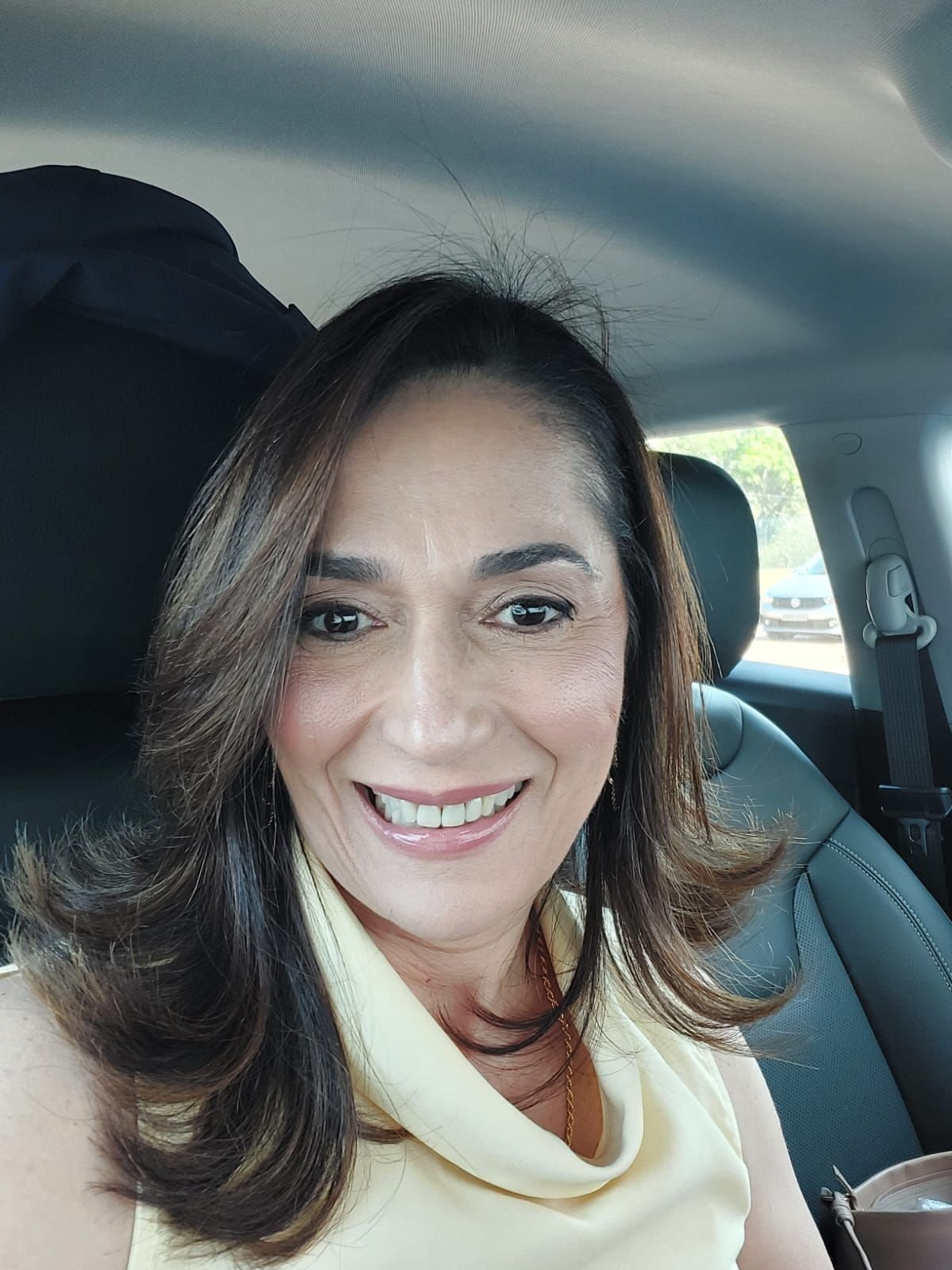 O sentido da vida – Elisa Pereira
