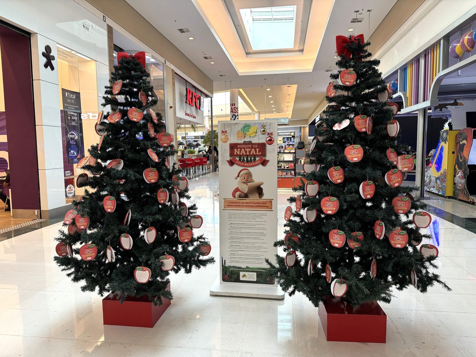 Natal solidário Polo Shopping Indaiatuba – Andreia