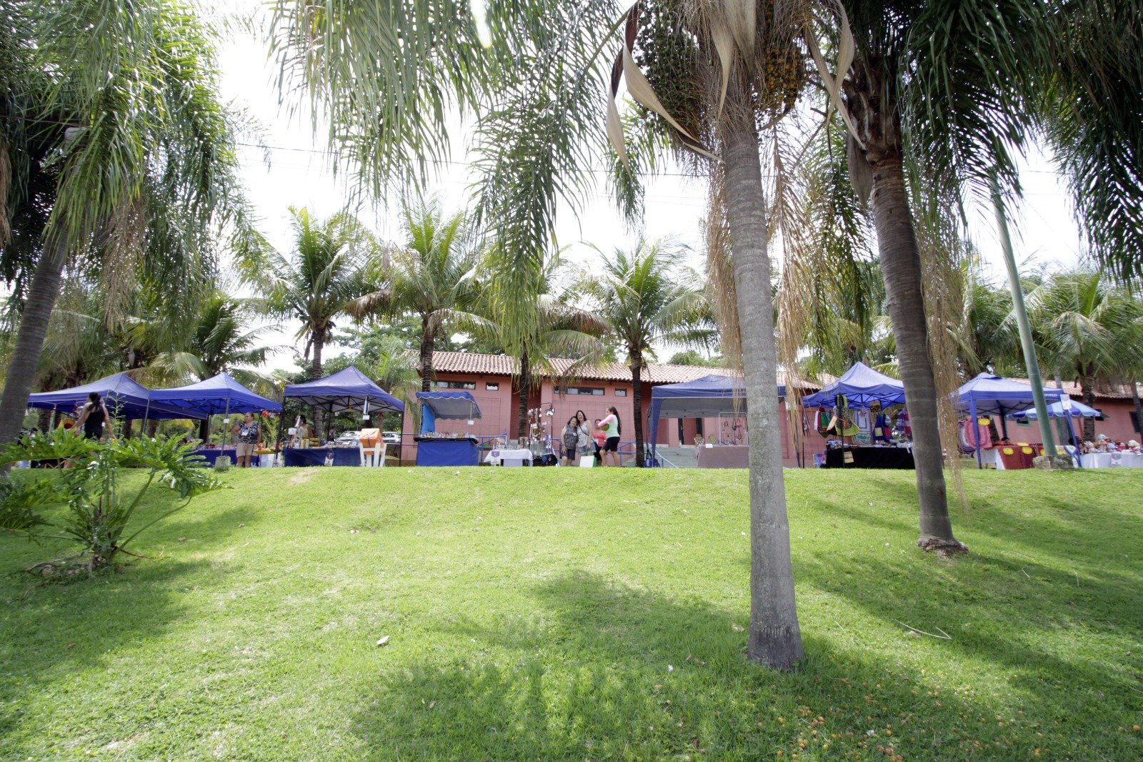 Festival Raízes