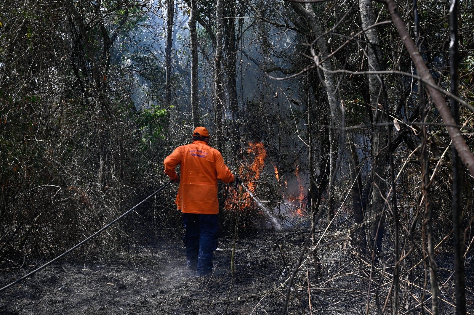 A Defesa Civil de Campinas alerta a população para que não faça queimadas. É proibido colocar fogo em mato, lixo, folhas ou restos de poda, assim como fazer fogueiras em áreas de vegetação- Sidnei Furtado
