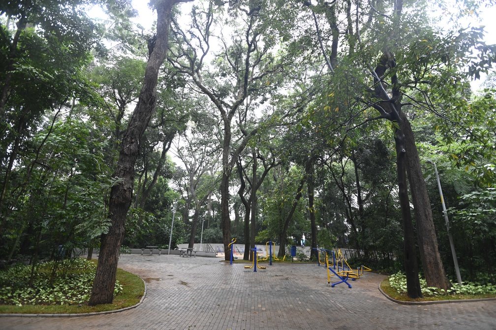 Chuva forte força interdição de parques e bosques em três regiões de Campinas