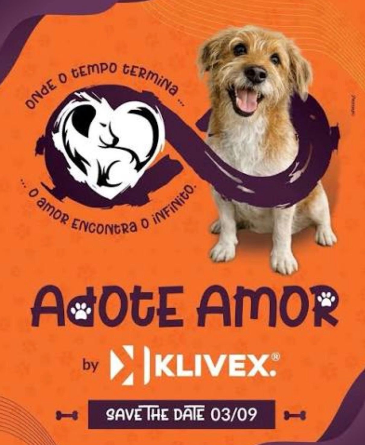 Evento em Indaiatuba promove adoção responsável e conscientização sobre cuidados com os pets – Mauro Silveira