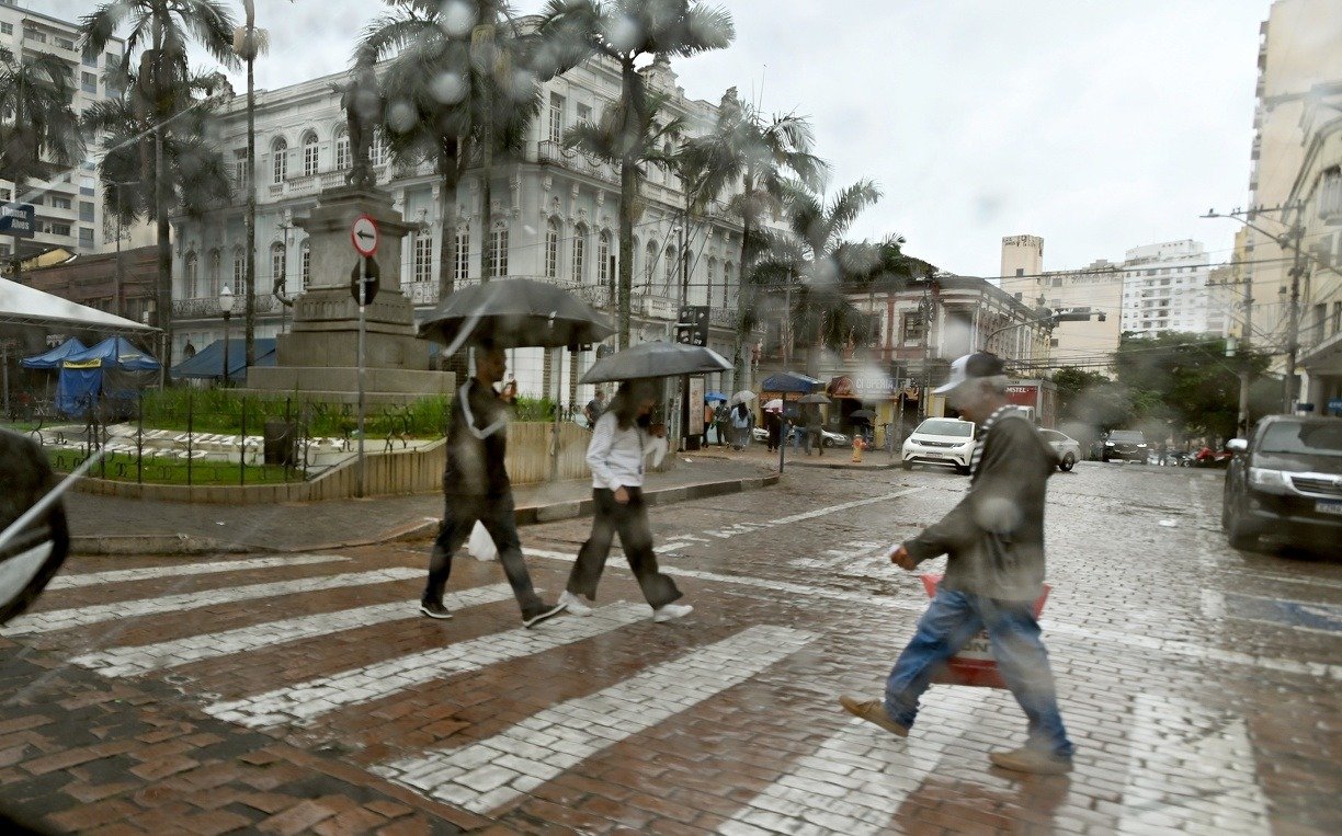 Chuva causa bloqueio de avenida e queda de árvores em Campinas