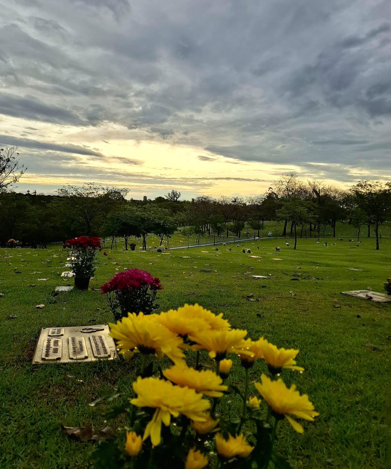 Cemitérios da Comunidade Santa Rita participam de ação nacional de Finados com campanha “Um Laço Eterno” – Silvana Caetano, psicóloga da Comunidade Santa Rita de Cássia